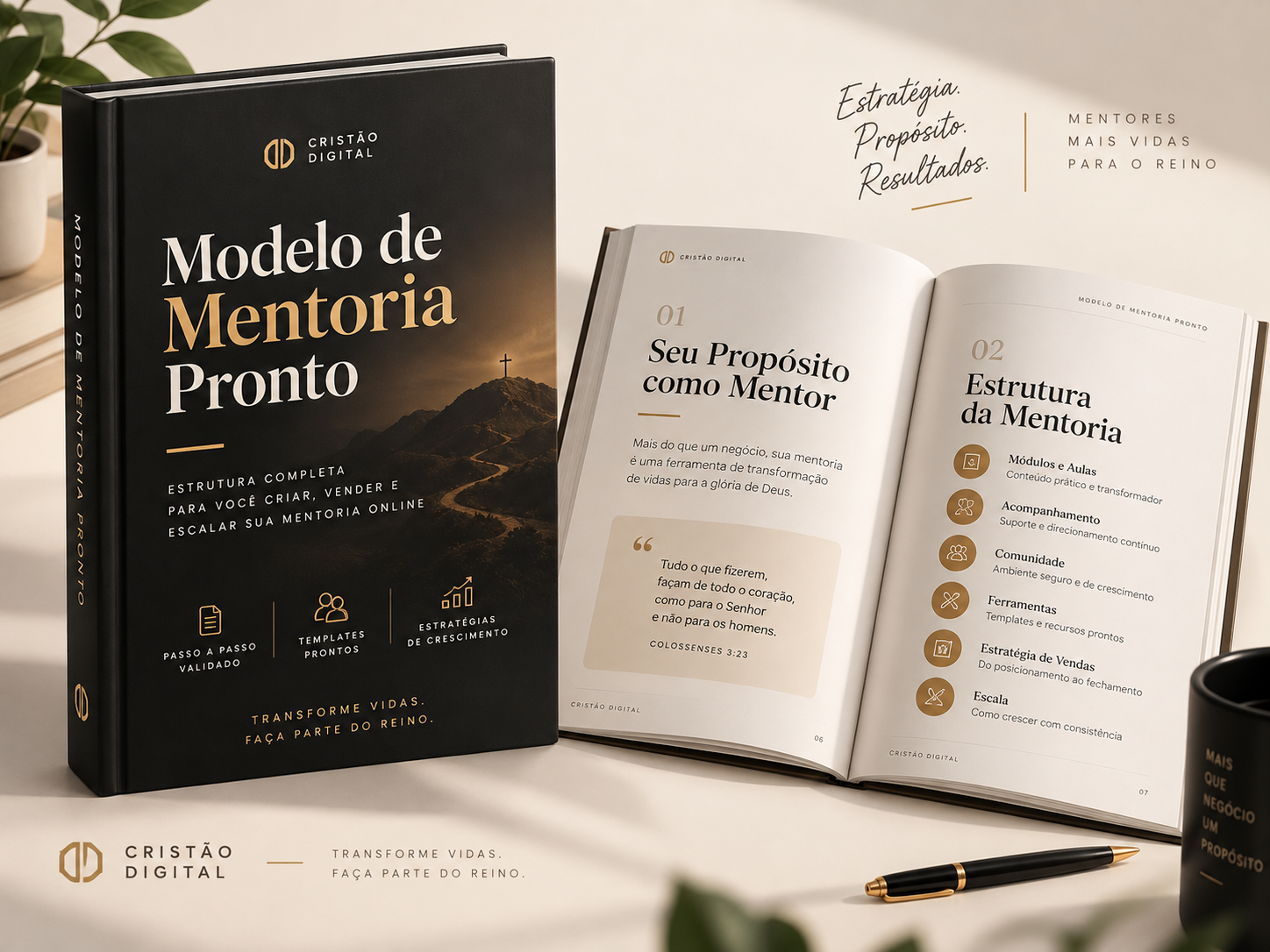 Modelo Pronto de Mentoria